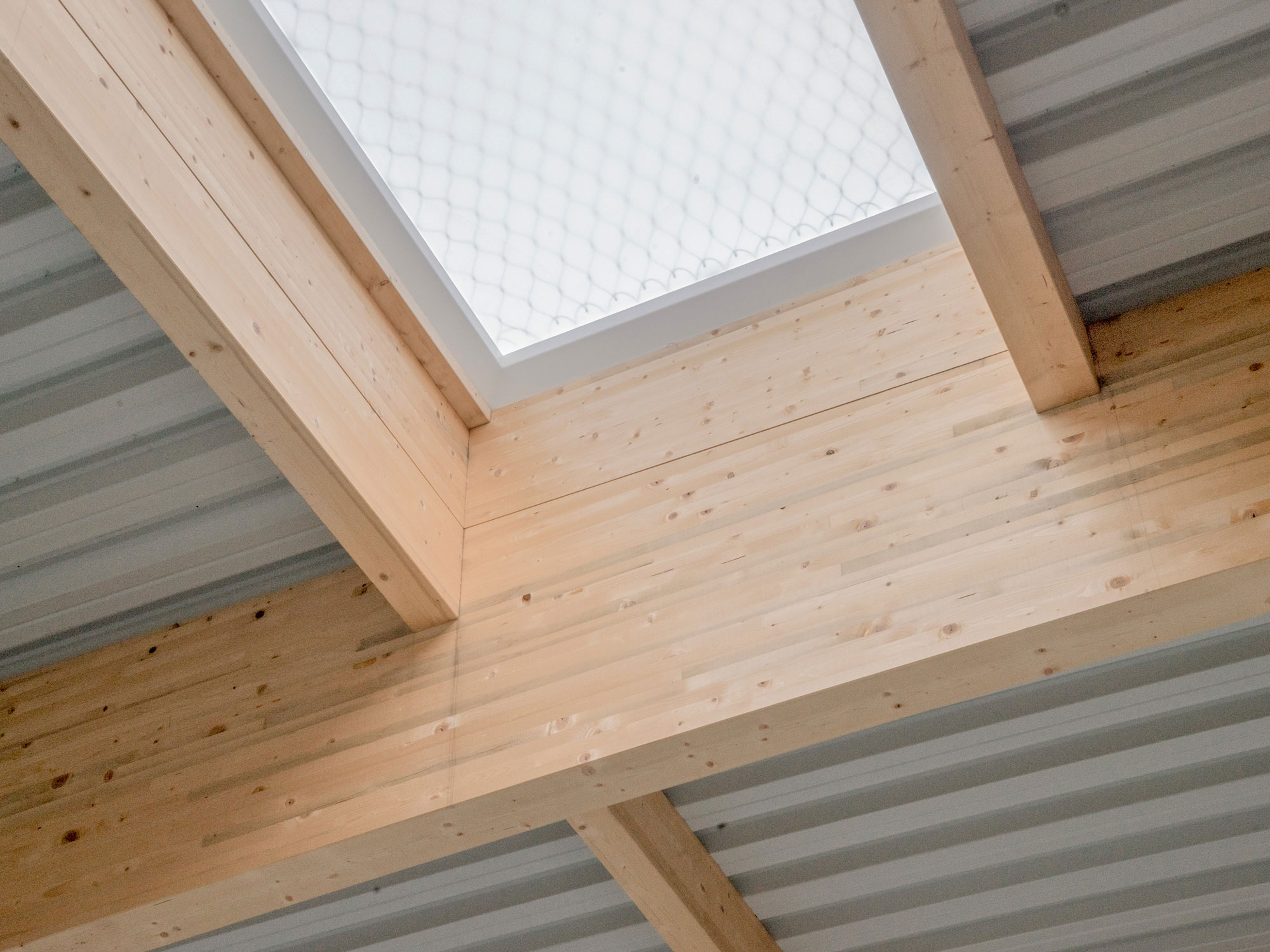 SM_ECO_4_c_Simon-Moosbrugger