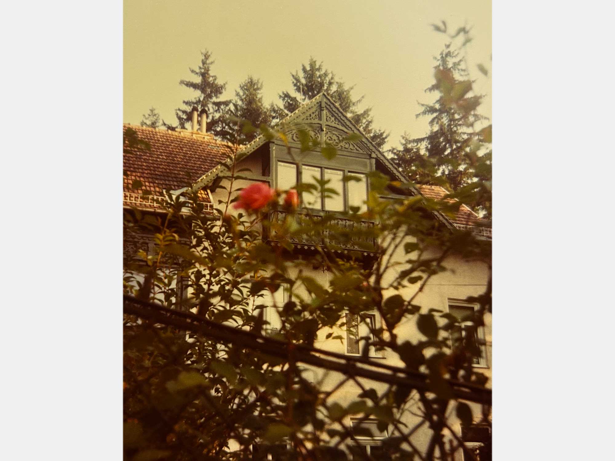 03_Rosenstraße